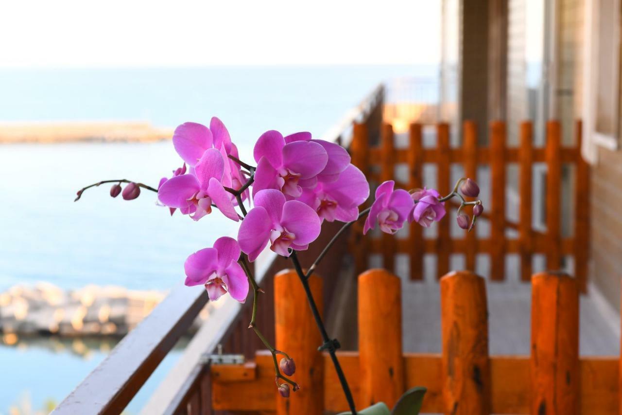 Bed and Breakfast Attico 195 Salerno Exterior foto